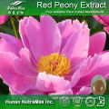 Pure Red Peony Extract, Red Peony Root extract HPLC, Red Peony Extract Powder Paeoniflorin